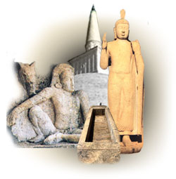 anura_pura_main.jpg (14618 bytes)